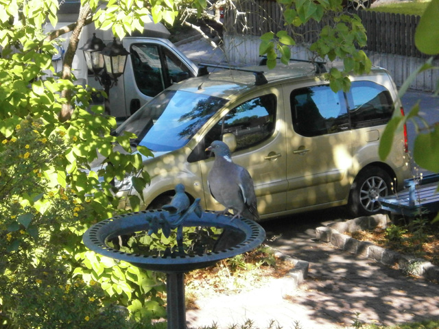 berlingo.jpg