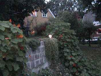 010925d.jpg