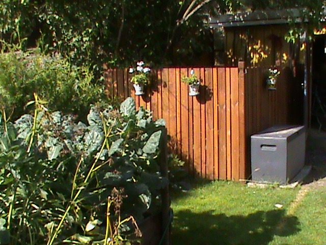 DSC00697.JPG