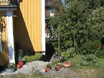 corner2.jpg