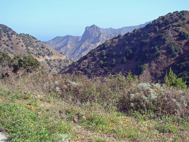 120119a.jpg