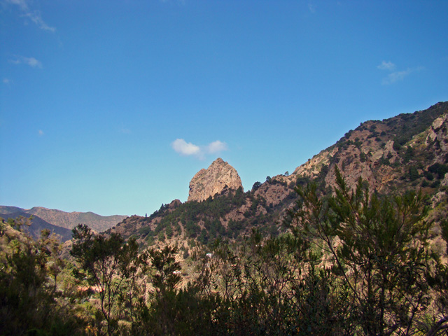 120119e.jpg