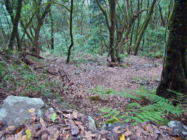 120120e.jpg