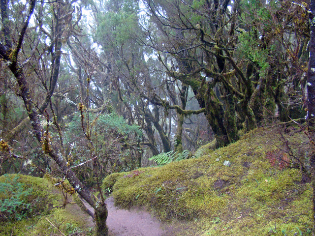 120121b.jpg