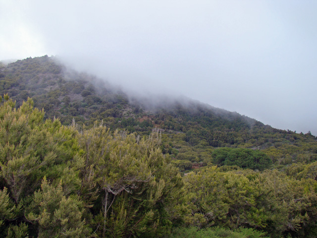 120121e.jpg