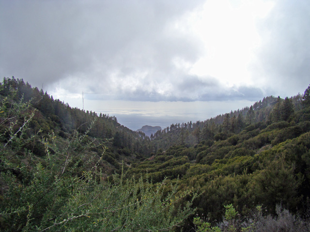 120121f.jpg