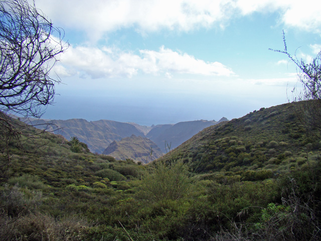 120121i.jpg
