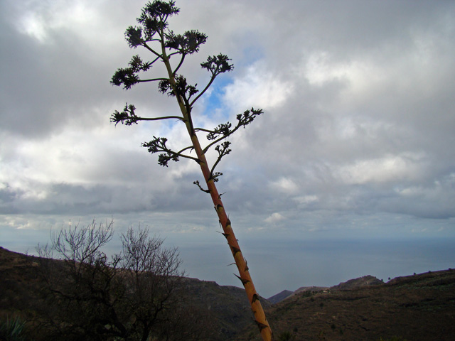 120122c.jpg