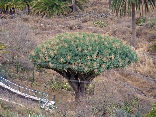 120122d.jpg