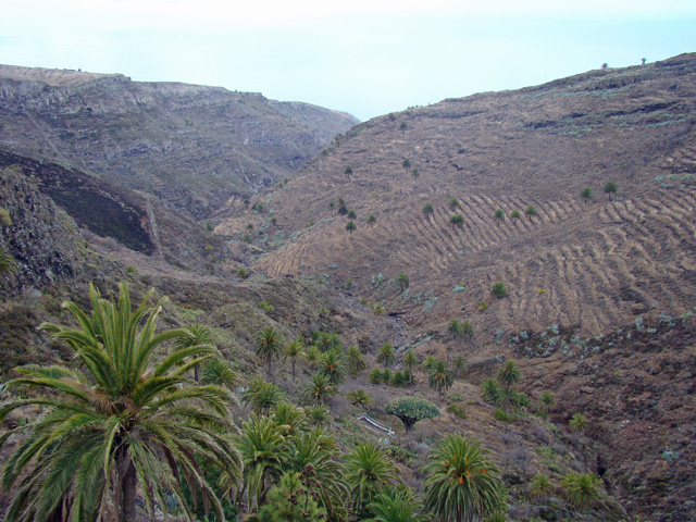 120122e.jpg