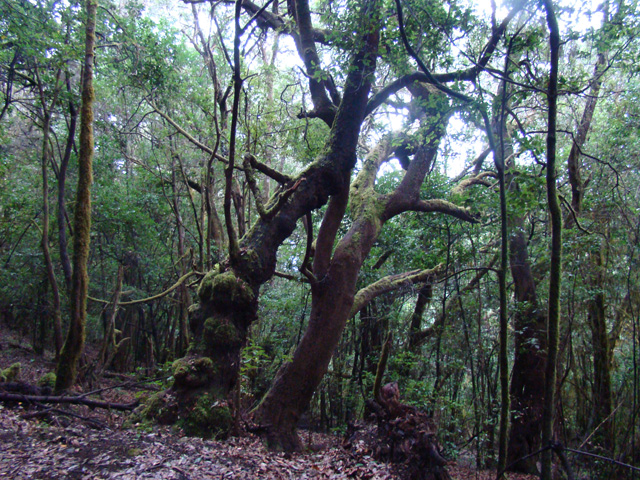 120122f.jpg