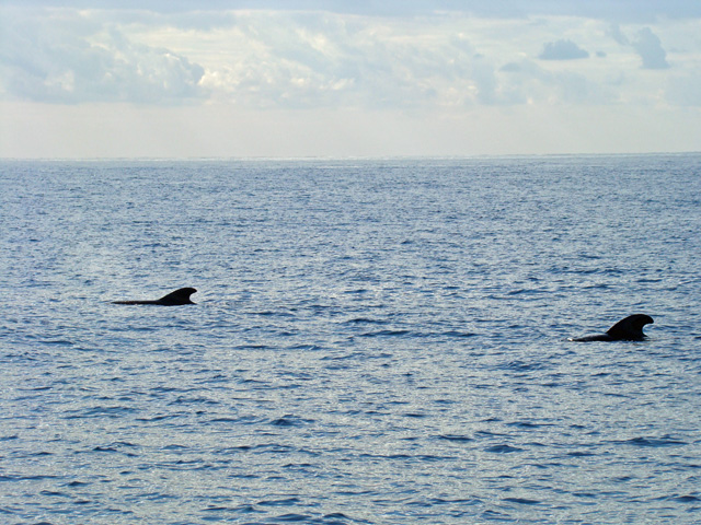 120123f.jpg