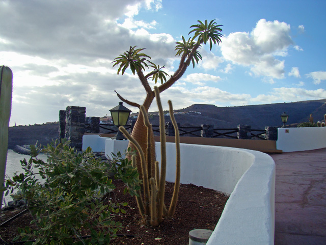hotell21.jpg