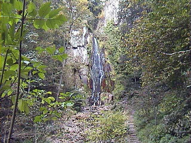 080929c.jpg