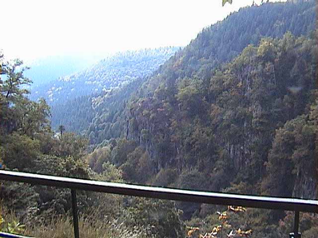080929d.jpg