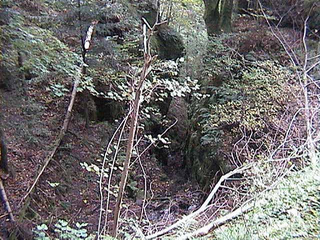 080929e.jpg