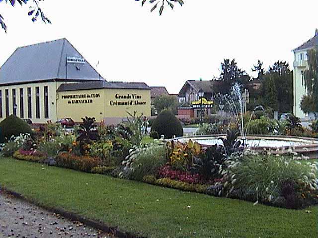 081001b.jpg