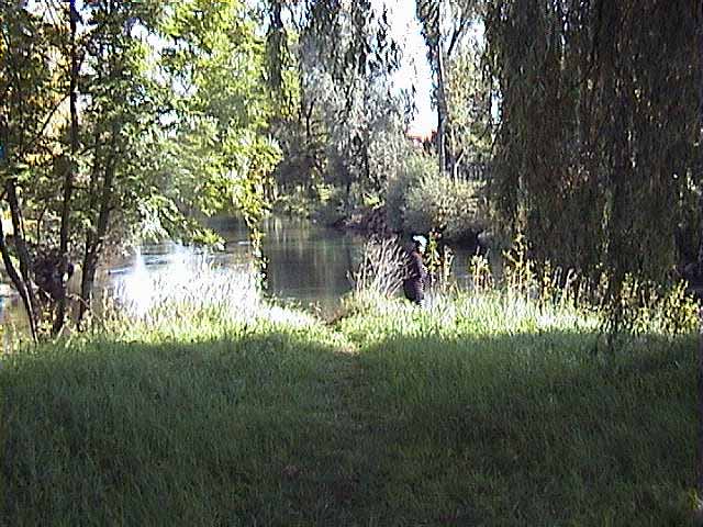 081005b.jpg