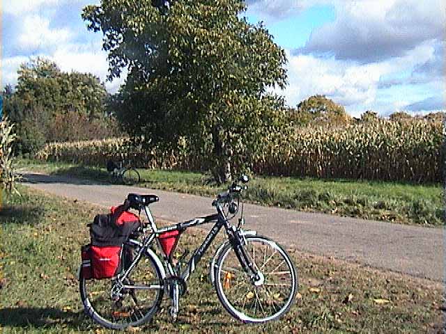 081006a.jpg