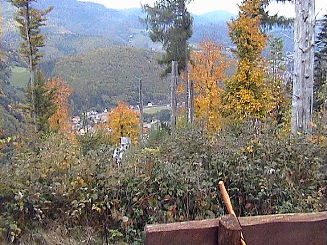 081007e.jpg