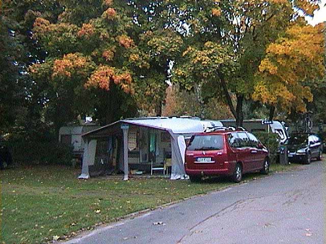 081009a.jpg
