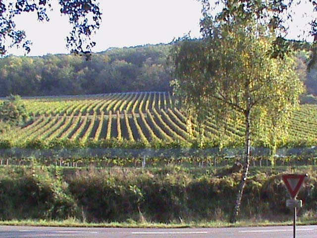 090927a.jpg