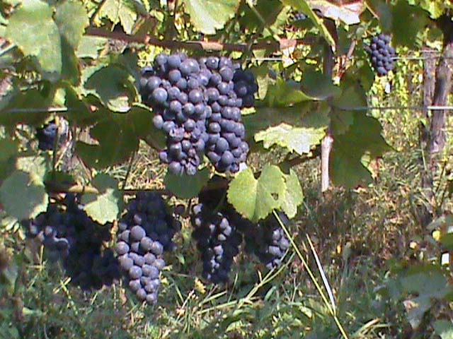 090928e.jpg