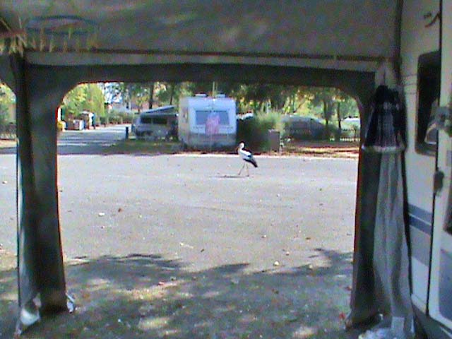 090930a.jpg