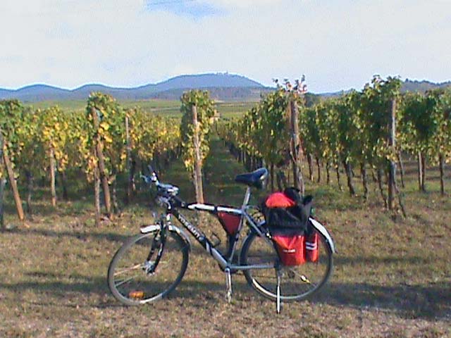 091002a.jpg