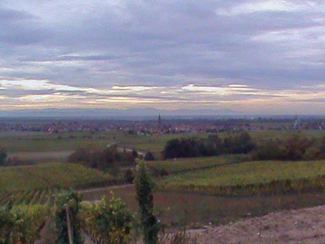 091004g.jpg