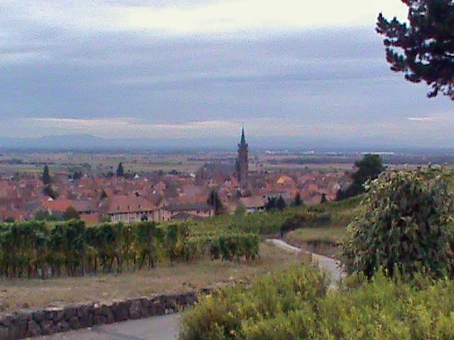091005d.jpg