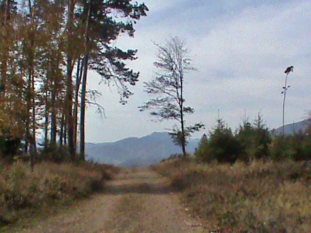 091007e.jpg