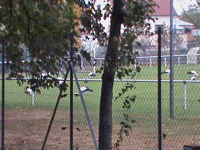 091008a.jpg
