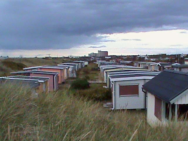 091010e.jpg