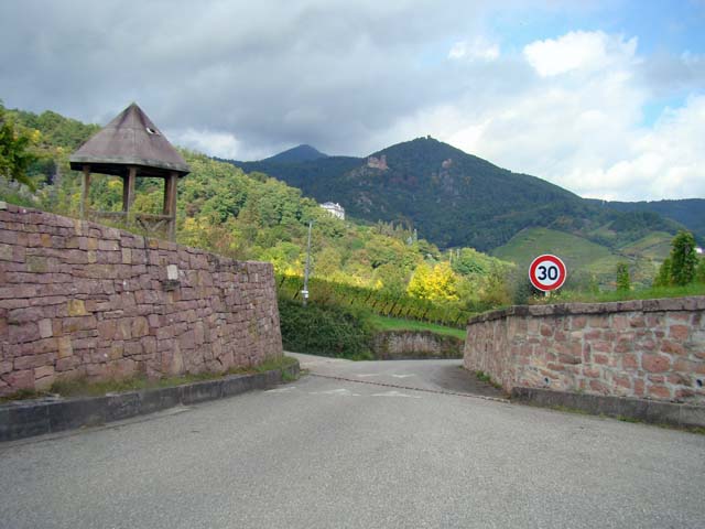 101001f.jpg