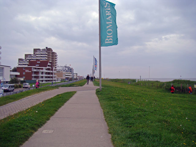 110917j.jpg