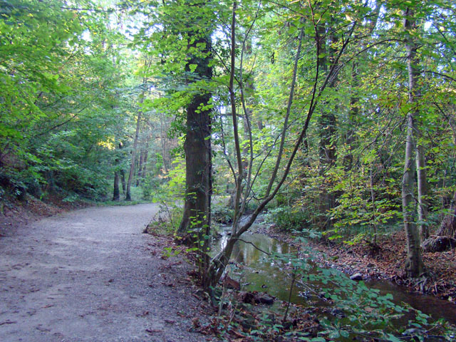 110921e.jpg