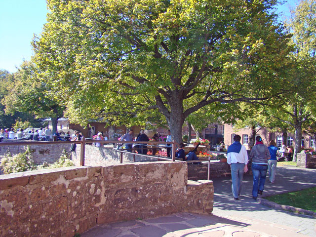 110924e.jpg