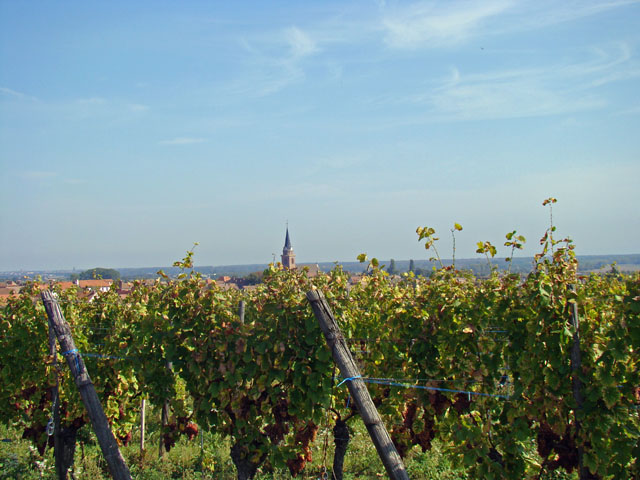 110925b.jpg