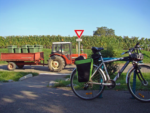 110926d.jpg