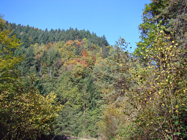 111003a.jpg