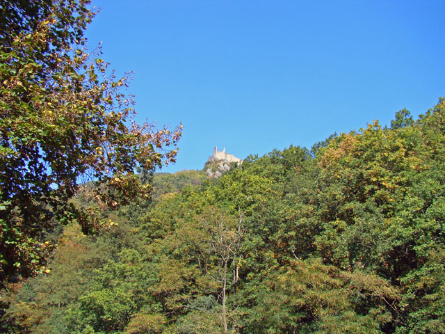 111003e.jpg