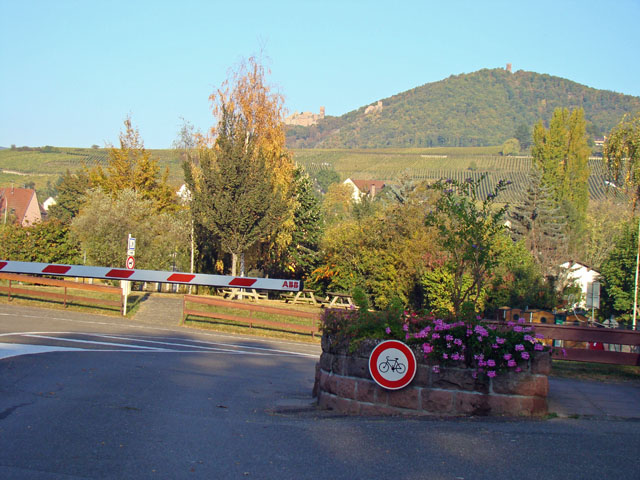 111004b.jpg