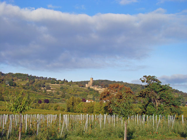111009a.jpg