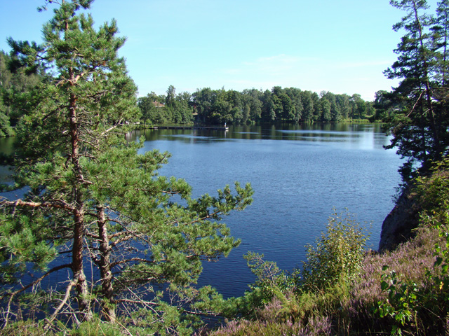 110813o.JPG