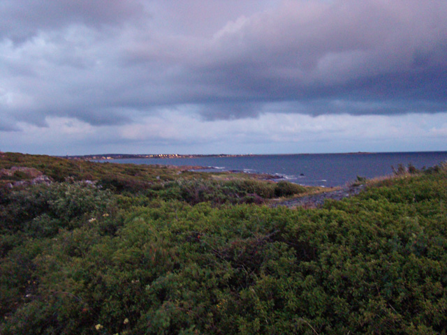 110815i.JPG