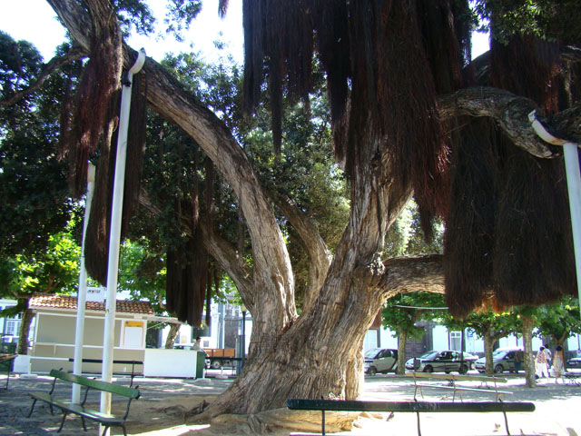 090828e.JPG