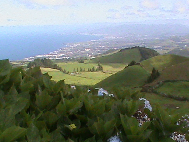 090829m.JPG