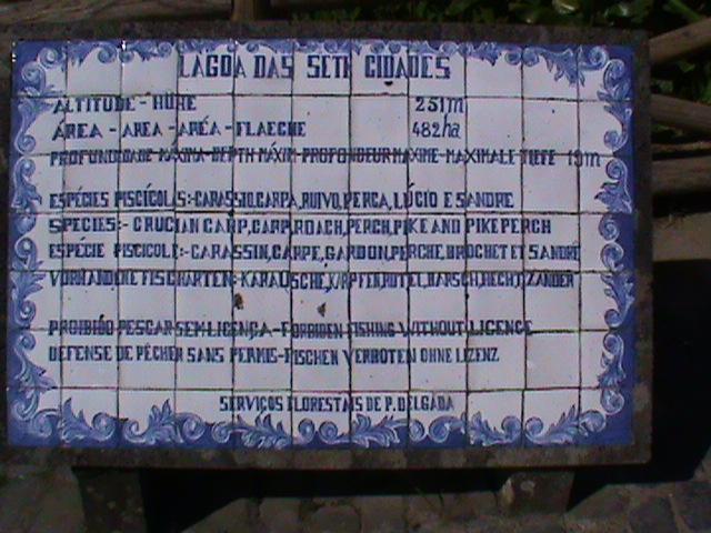090829o.JPG