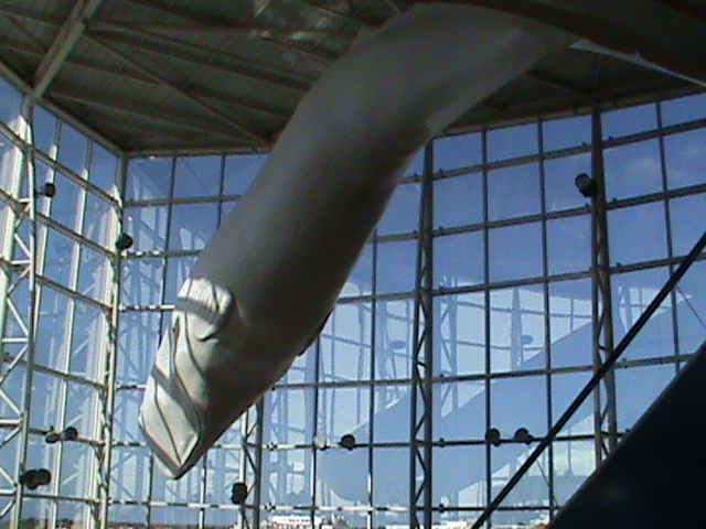 090830a.JPG